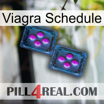 Viagra Schedule 03